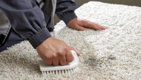 Professional Rug Cleaning Rye