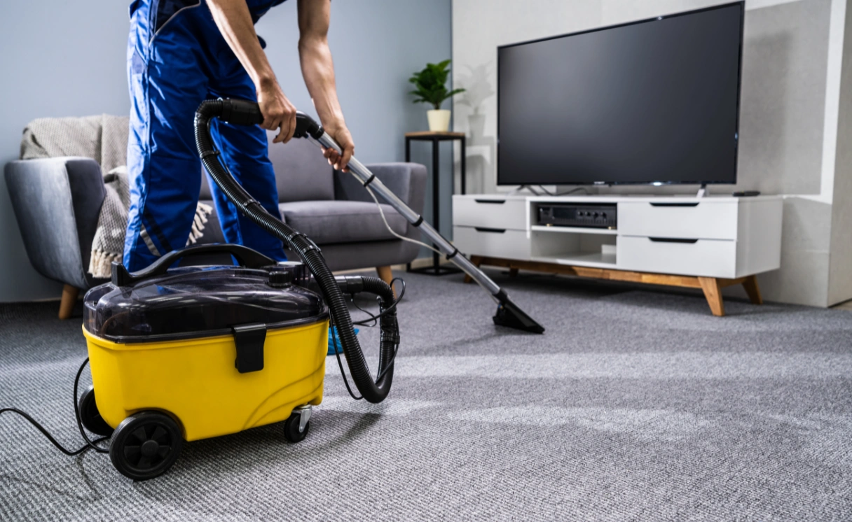 Extract Rug Cleaning Rye Contact Office